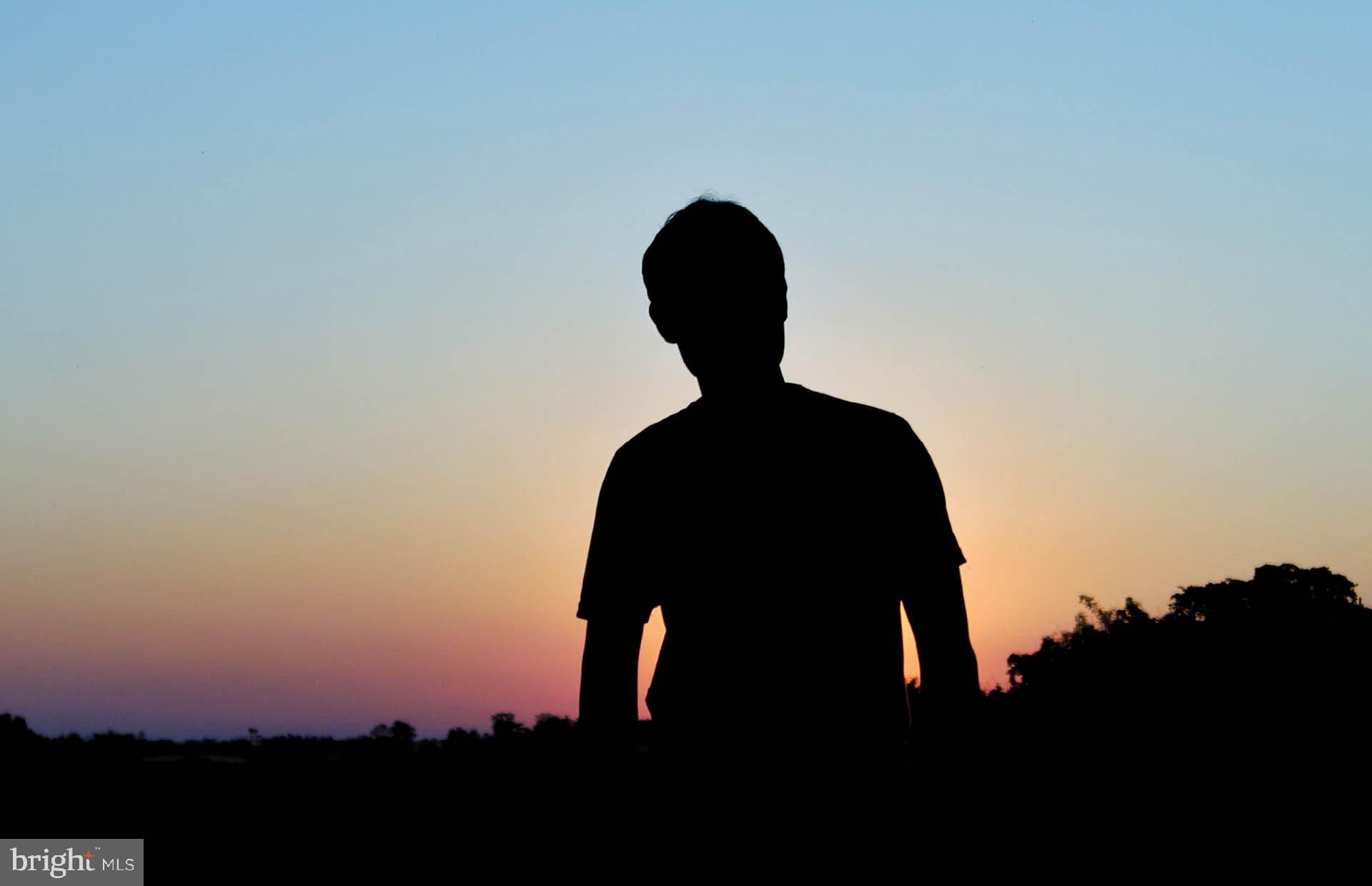 210 Mainstream Drive Laurel, MD 20724 - Photo 25 of 29 a close up of a painting on the wall