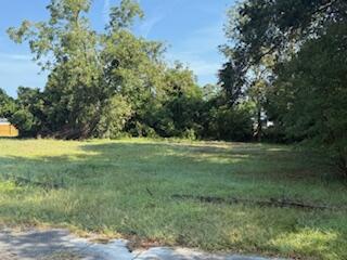 1929 Watkins Street Augusta, GA 30904 - Photo 3 of 3 Watkins 3