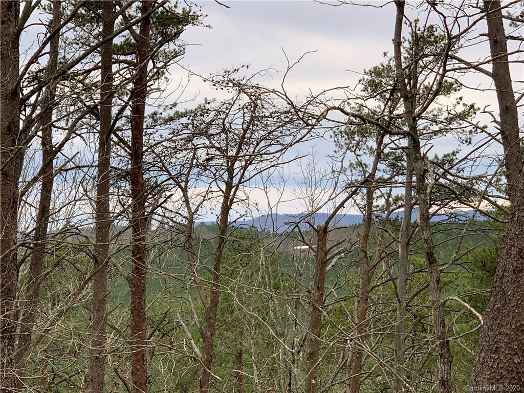 5243 Jackson White Road Lawndale, NC 28090 - Photo 6 of 11 Gallery Image 6