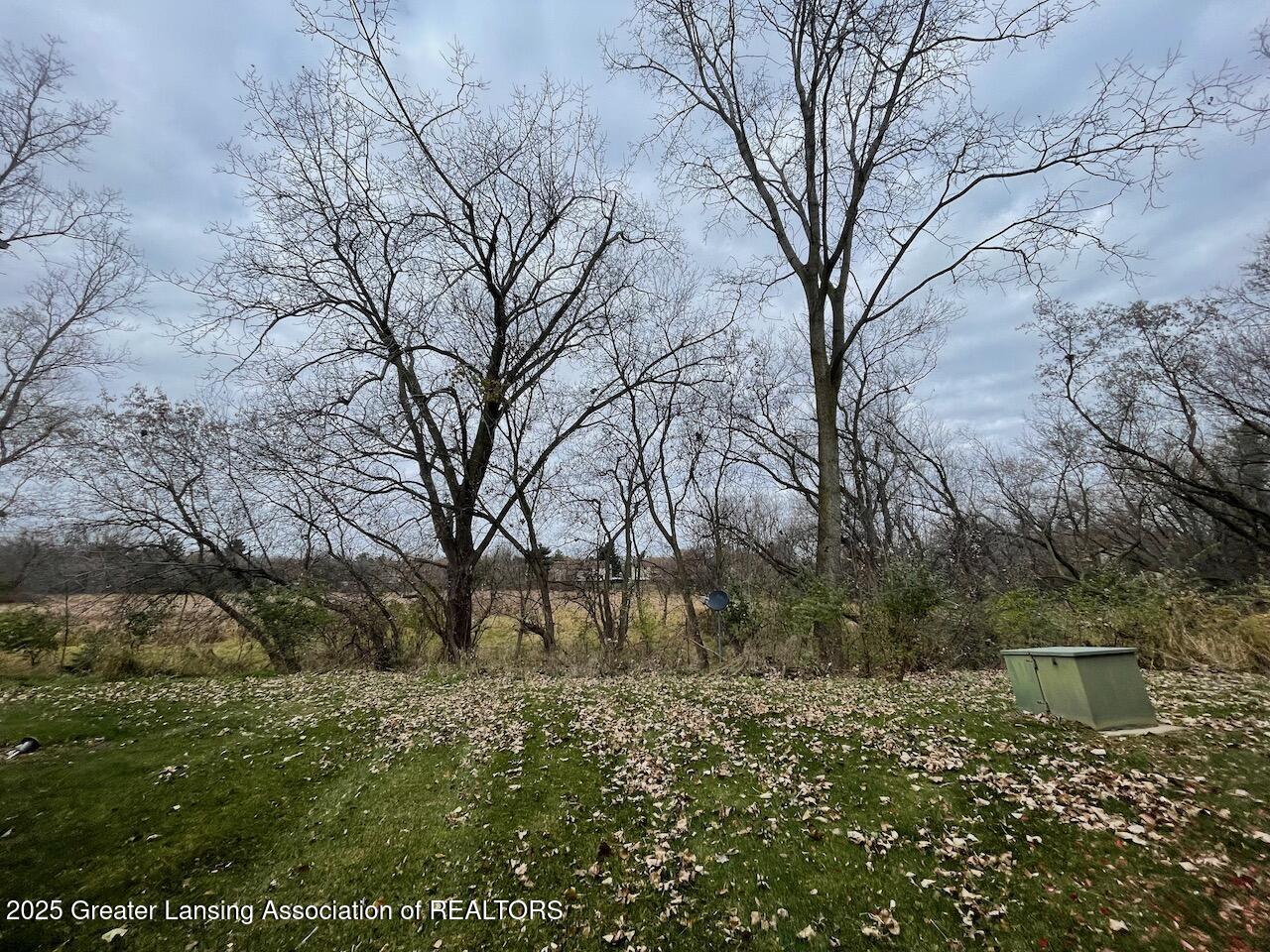 1734 Maple Ridge Road Haslett, MI 48840 - Photo 58 of 60 Yard view