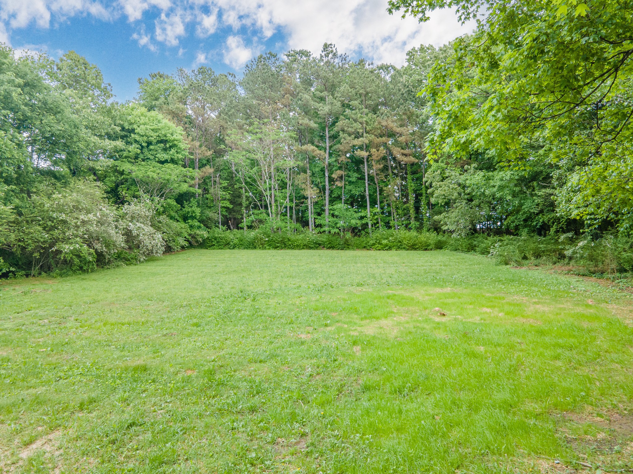 128 North Main Street Loretto, TN 38469 - Photo 4 of 32 a view of a yard with a trees