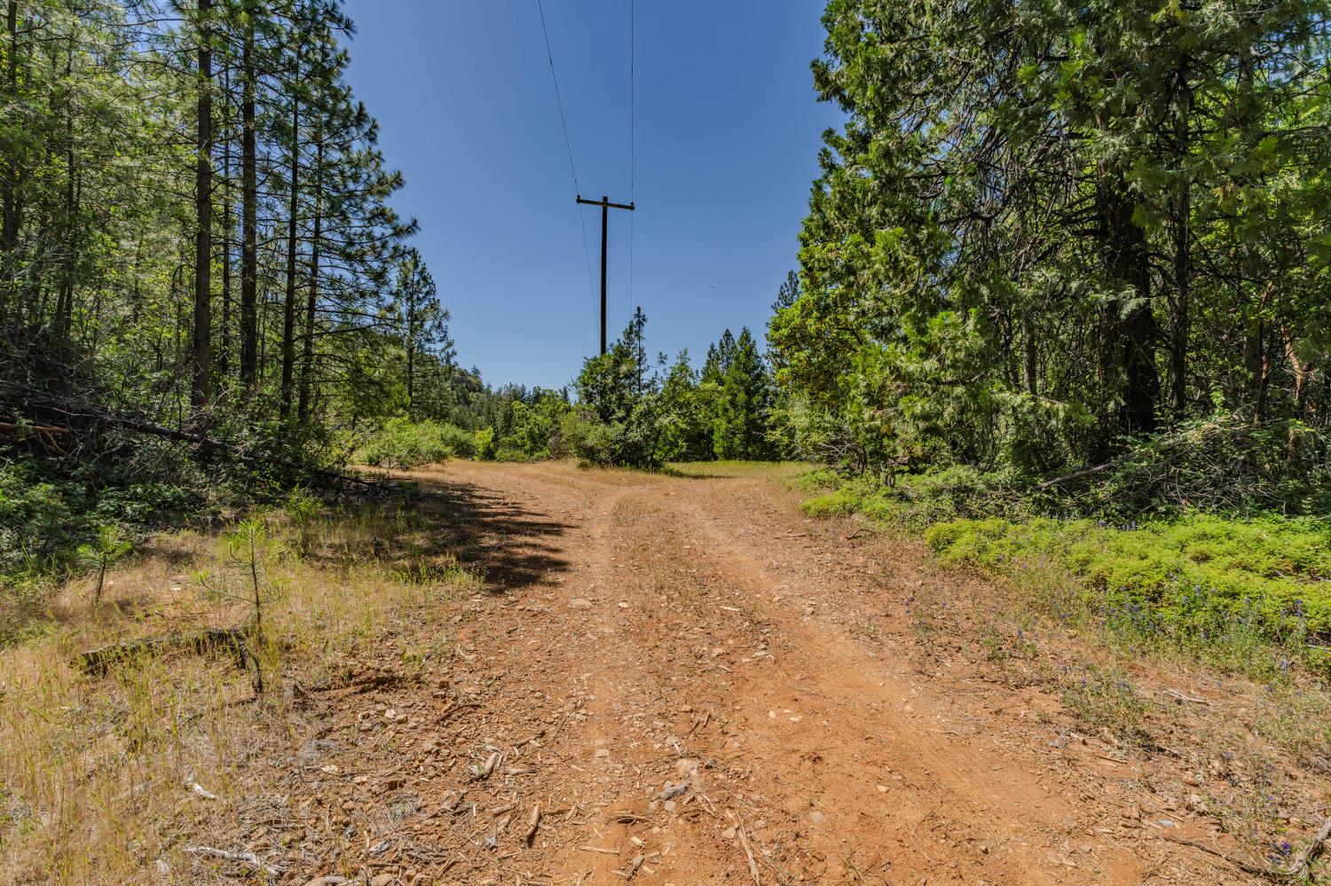 0 Schaefer Ranch Road Pioneer, CA 95666 - Photo 15 of 72