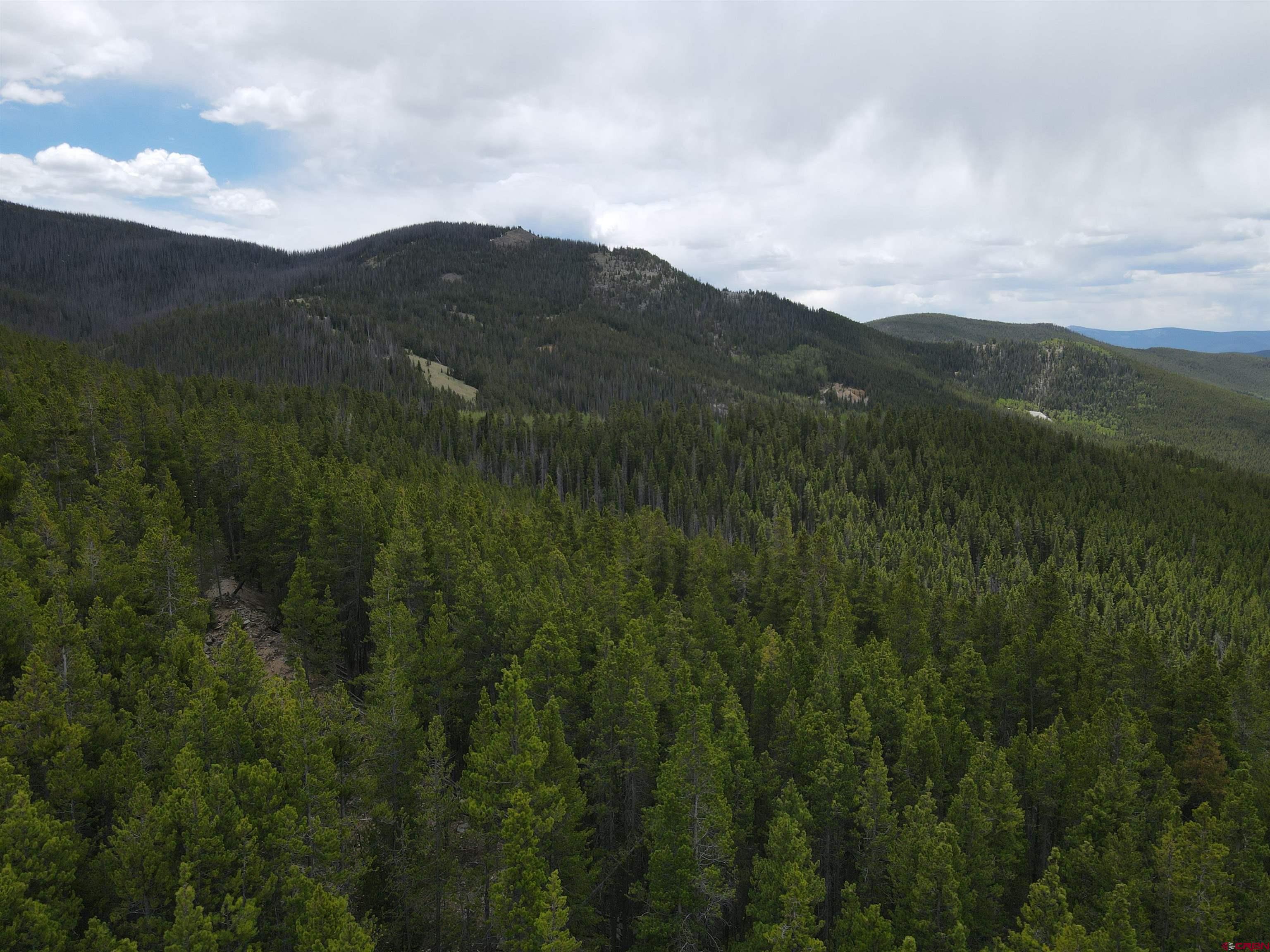 Tbd Erie Mine Road Sargents, CO 81248 - Photo 7 of 12