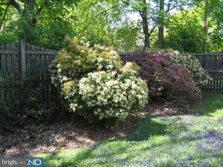 8002 Douglas Road Wyndmoor, PA 19038 - Photo 3 of 4 Gallery Image 3