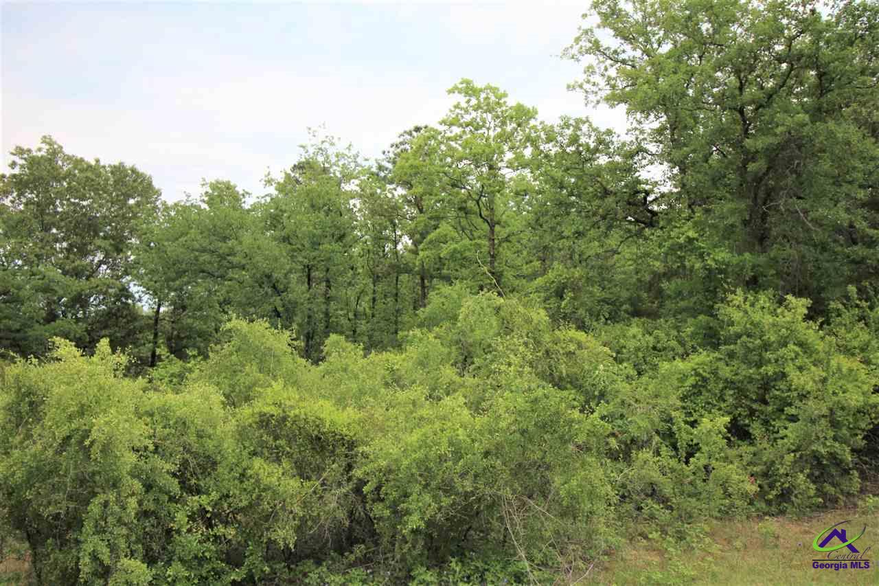 0 Pineknot Road Box Springs, GA 31801 - Photo 7 of 12