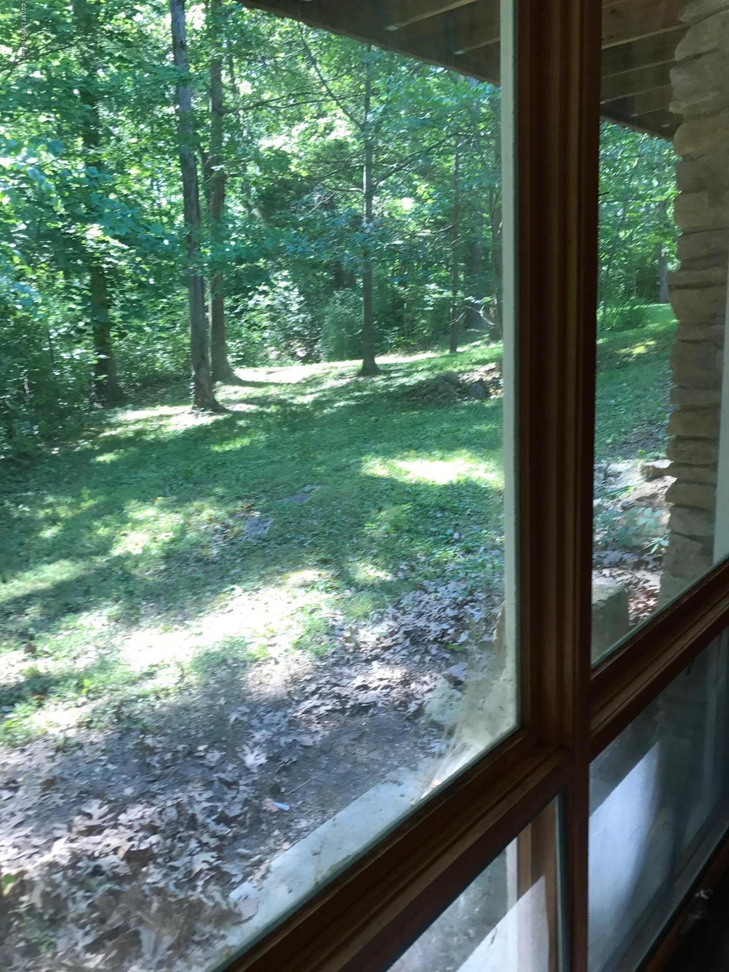 5001 Hopewell Road Louisville, KY 40299 - Photo 36 of 63 view from walk out basement