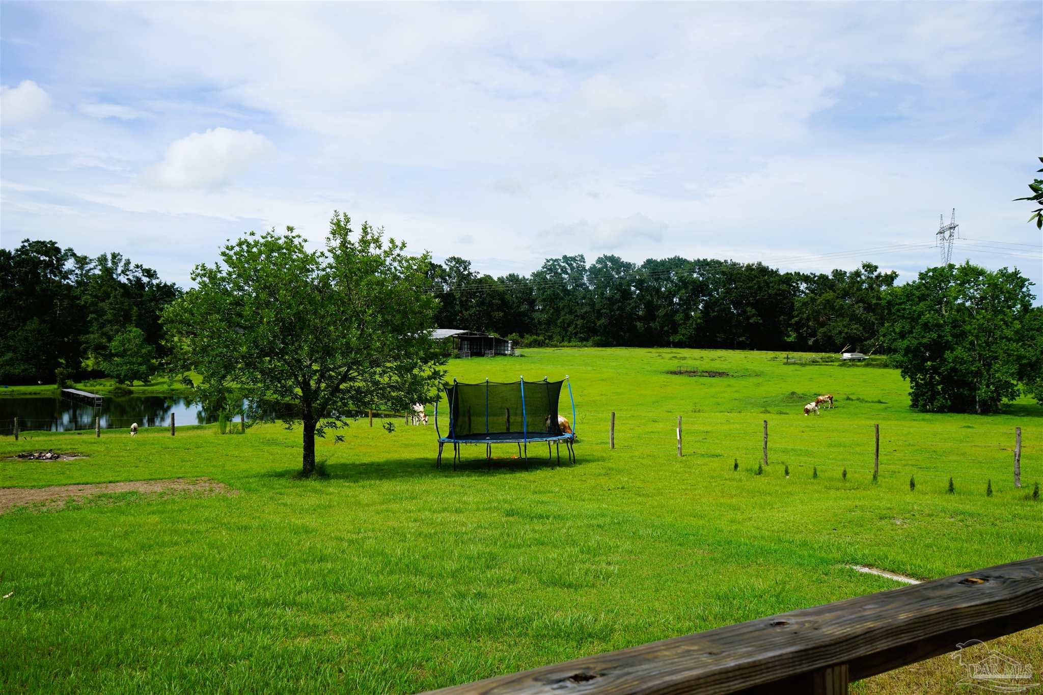 4684 Settles Road Molino, FL 32577 - Photo 10 of 48 Gallery Image 10