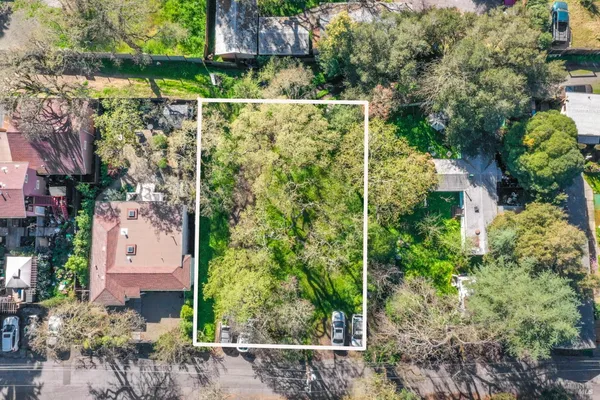 a view of a yard with a large tree