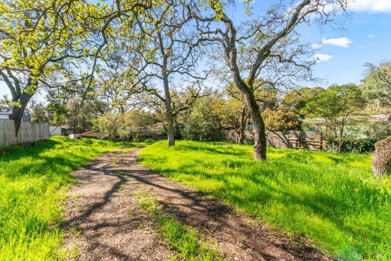 18446 1st Avenue Sonoma, CA 95476 - Photo 2 of 8 a view of a yard with a large tree