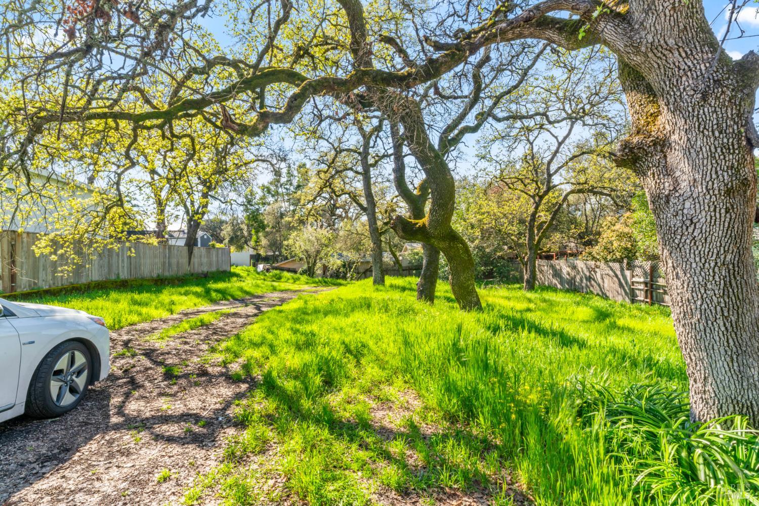 18446 1st Avenue Sonoma, CA 95476 - Photo 3 of 8 a view of a backyard with swimming pool