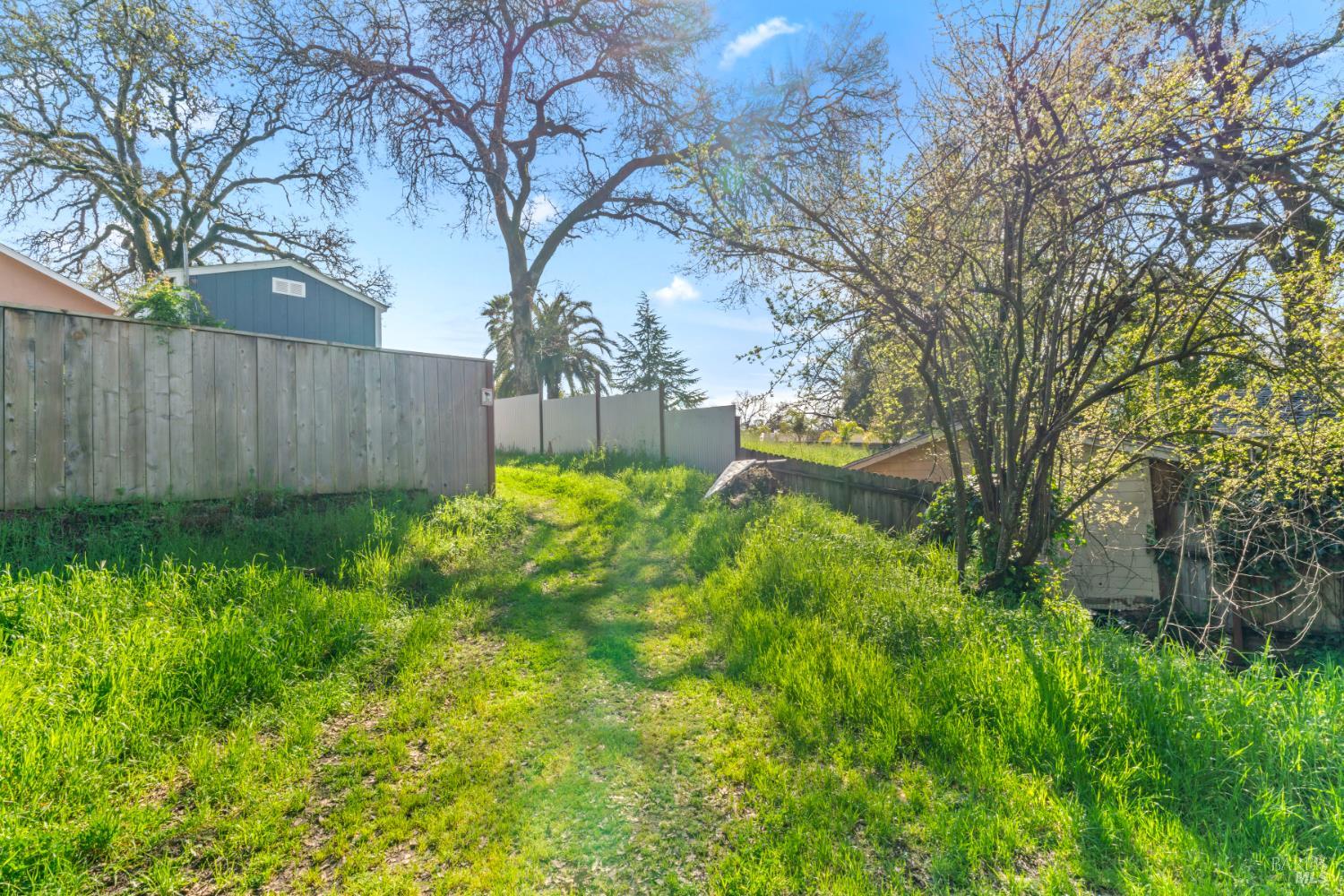 18446 1st Avenue Sonoma, CA 95476 - Photo 5 of 8 a view of backyard with garden