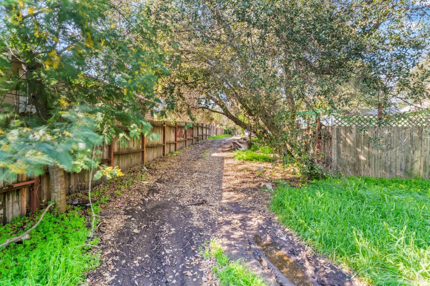 18446 1st Avenue Sonoma, CA 95476 - Photo 6 of 8 a view of backyard with tree