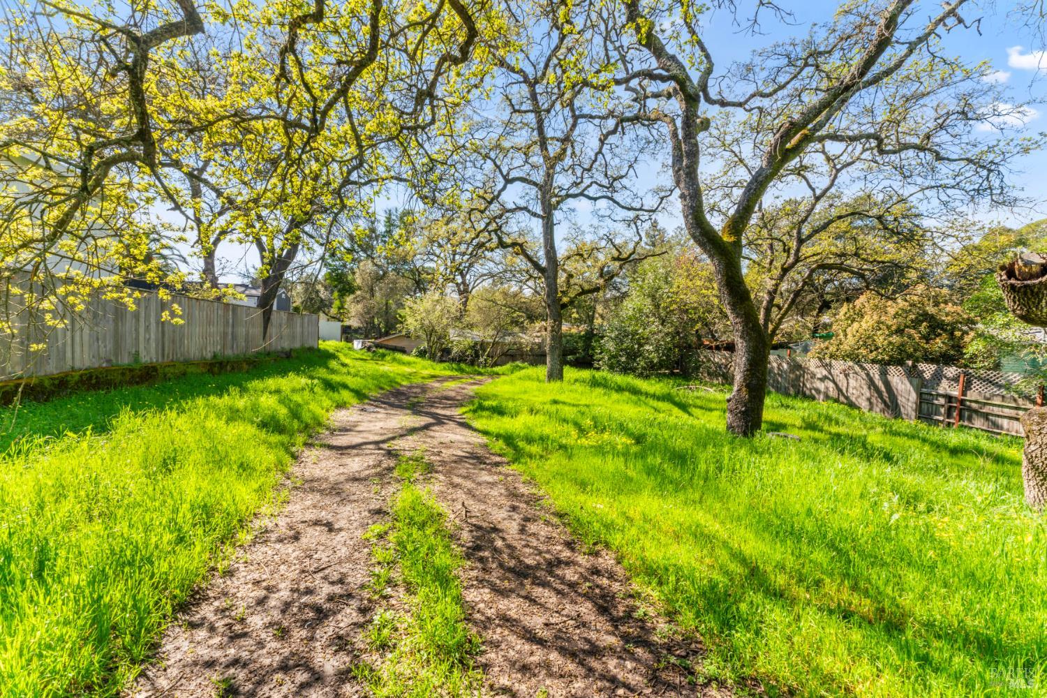 18446 1st Avenue Sonoma, CA 95476 - Photo 8 of 8 a backyard of a house with lots of green space