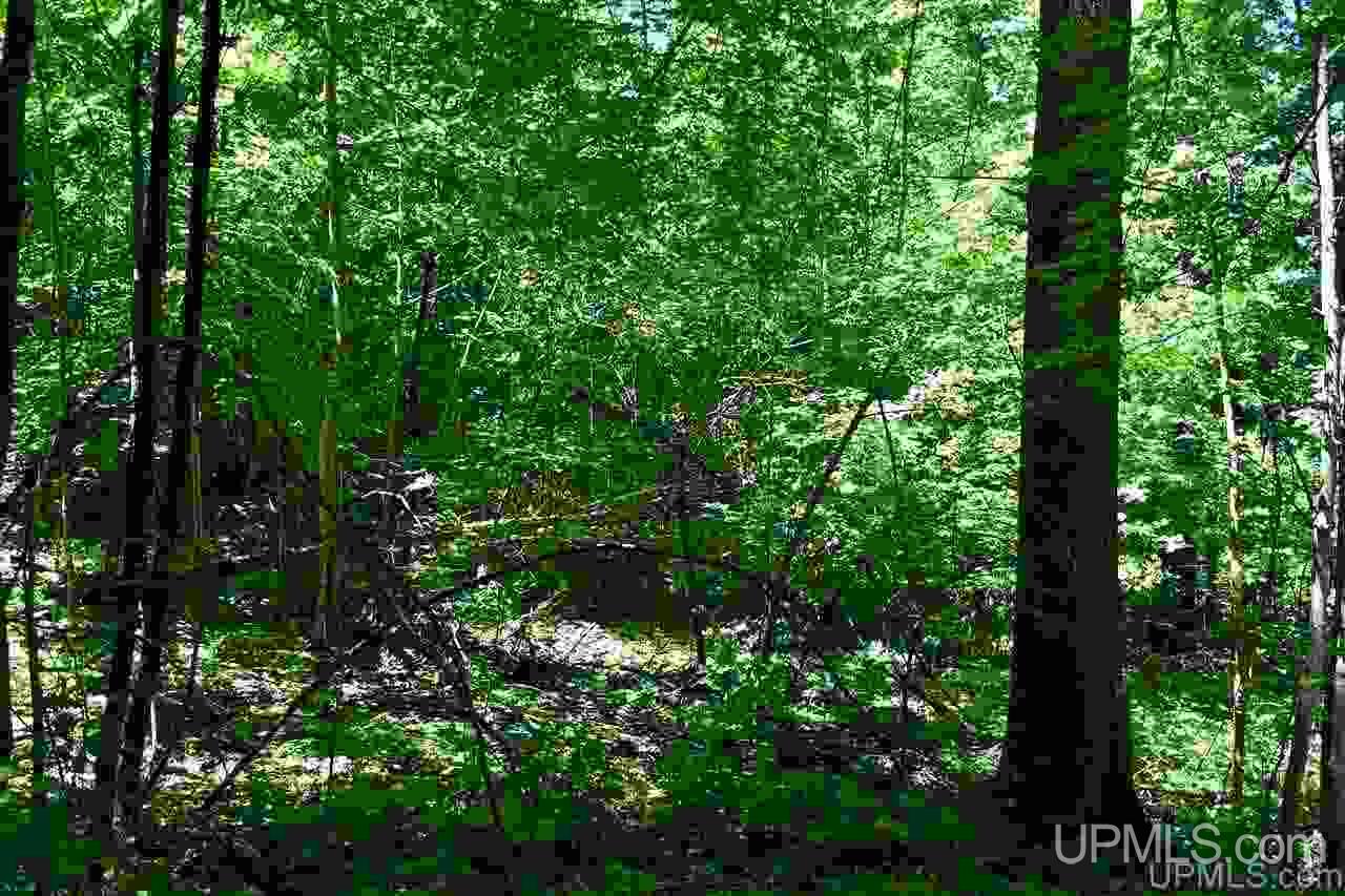 1125 Cooper Lake Road Ishpeming, MI 49849 - Photo 2 of 32