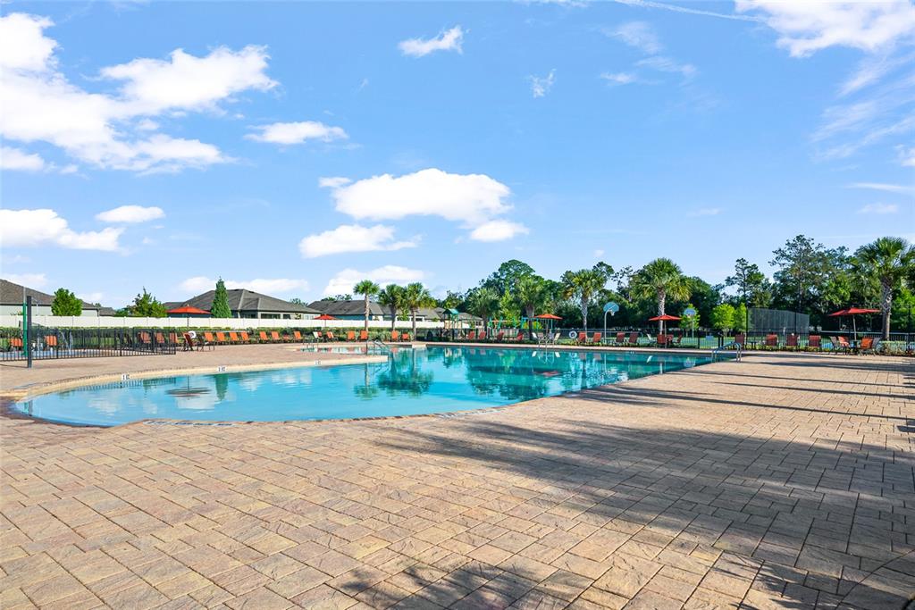 18696 Alfaro Loop Spring Hill, FL 34610 - Photo 56 of 61 Gallery Image 56