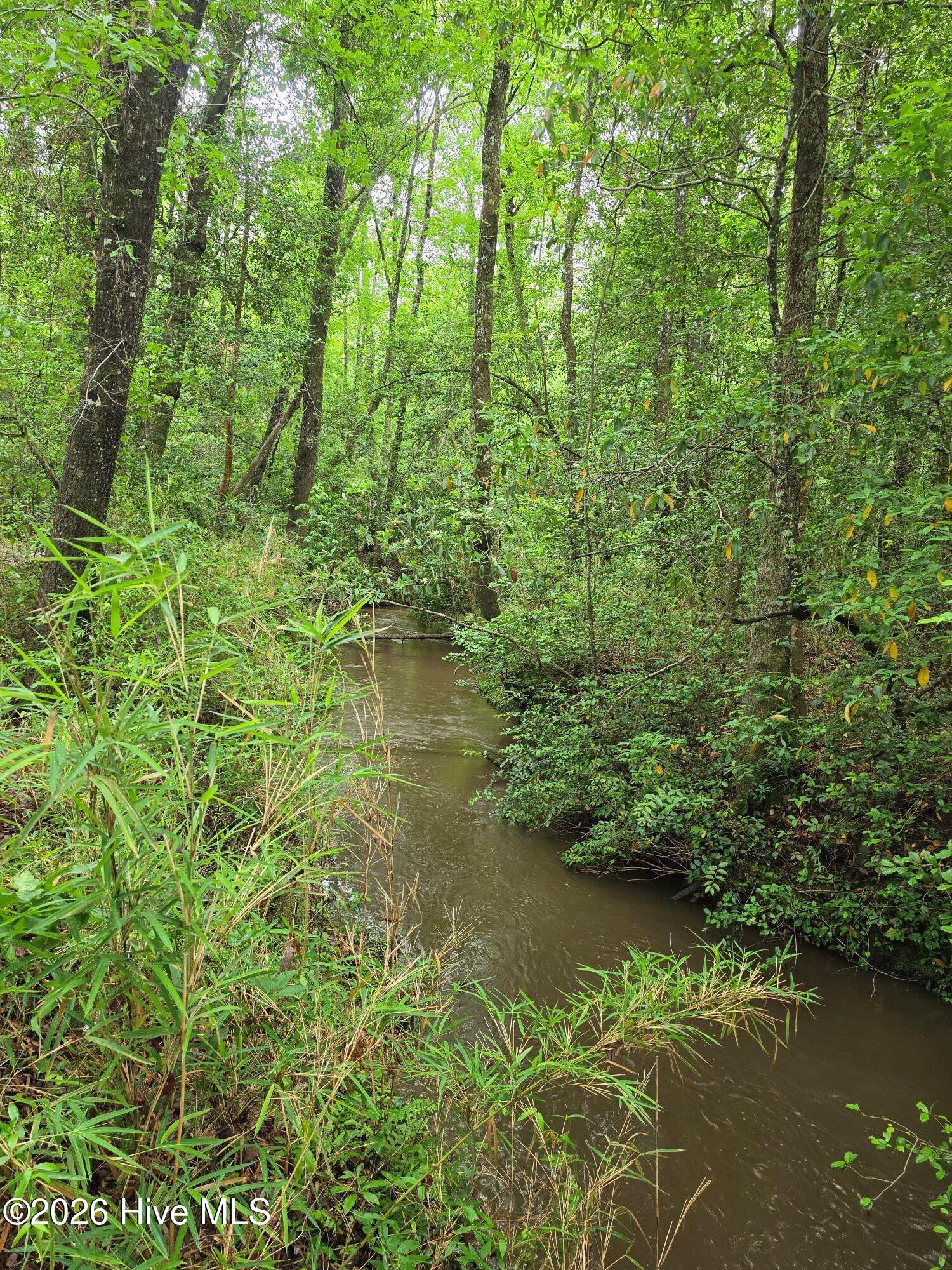 480 Mt Pleasant Road Ridge Spring, SC 29129 - Photo 12 of 29 creek2