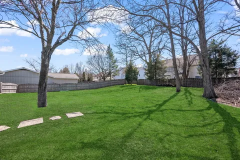 a view of a park with large trees