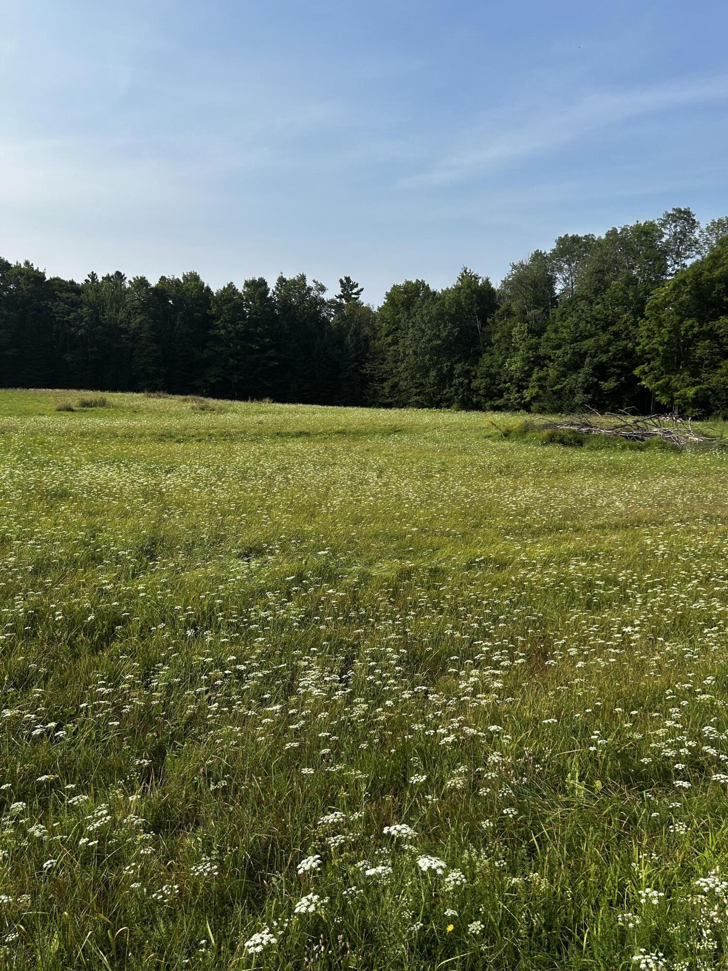 IMG_8052-Bond Rd, Corinna