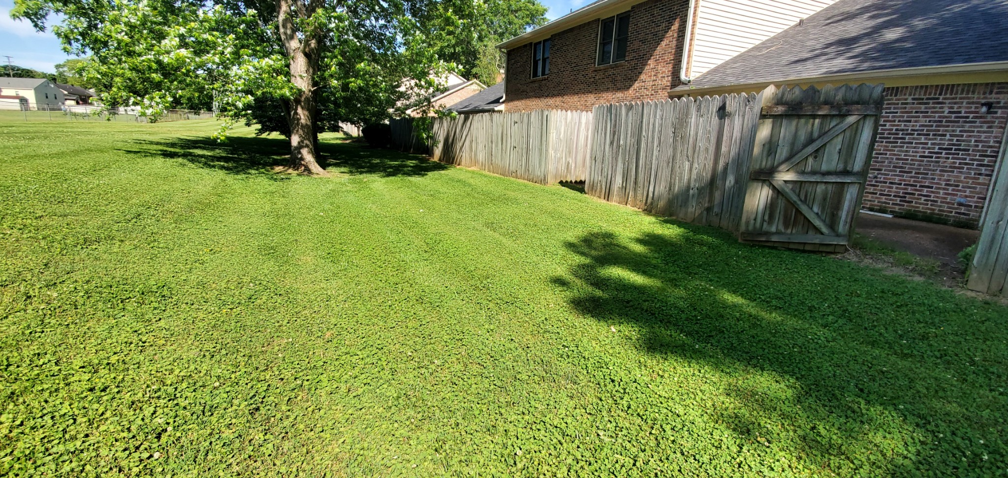 716 Kent Road Nashville, TN 37214 - Photo 3 of 15 a view of a backyard with wooden fence and a large tree