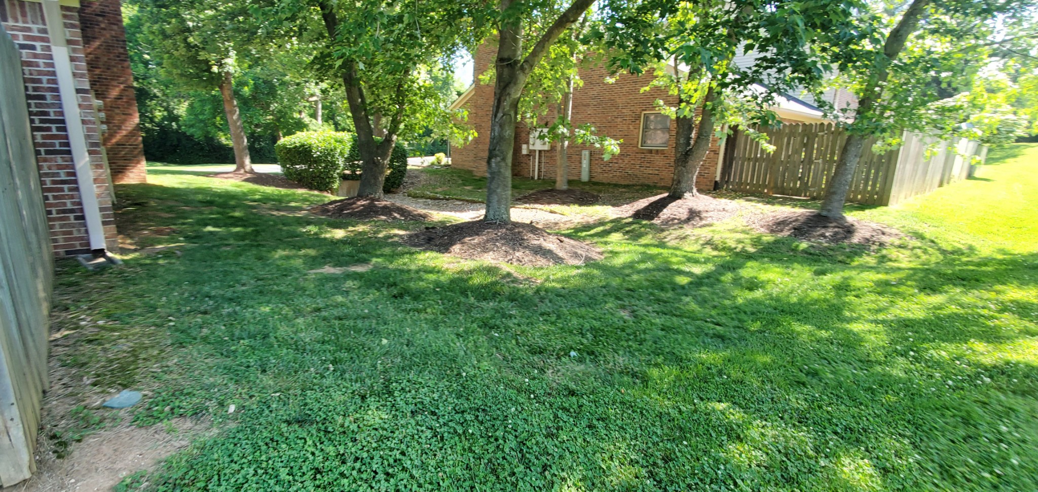 716 Kent Road Nashville, TN 37214 - Photo 5 of 15 a view of a yard with a tree