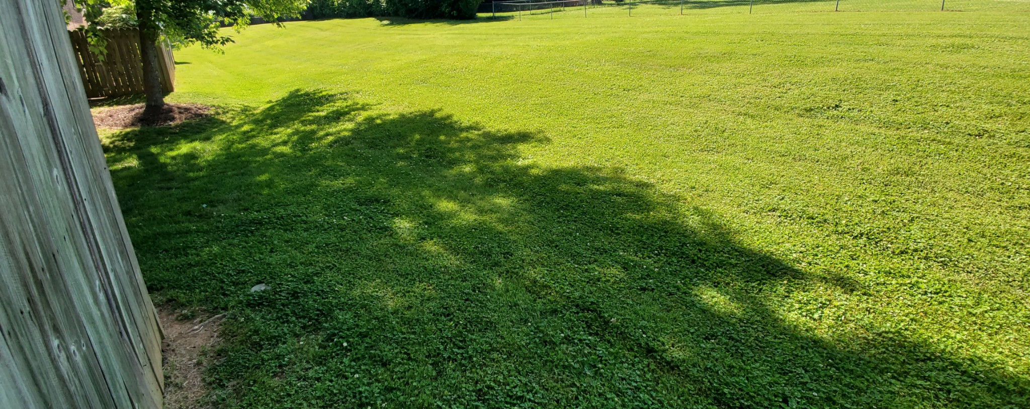 716 Kent Road Nashville, TN 37214 - Photo 6 of 15 a view of an ocean from a yard