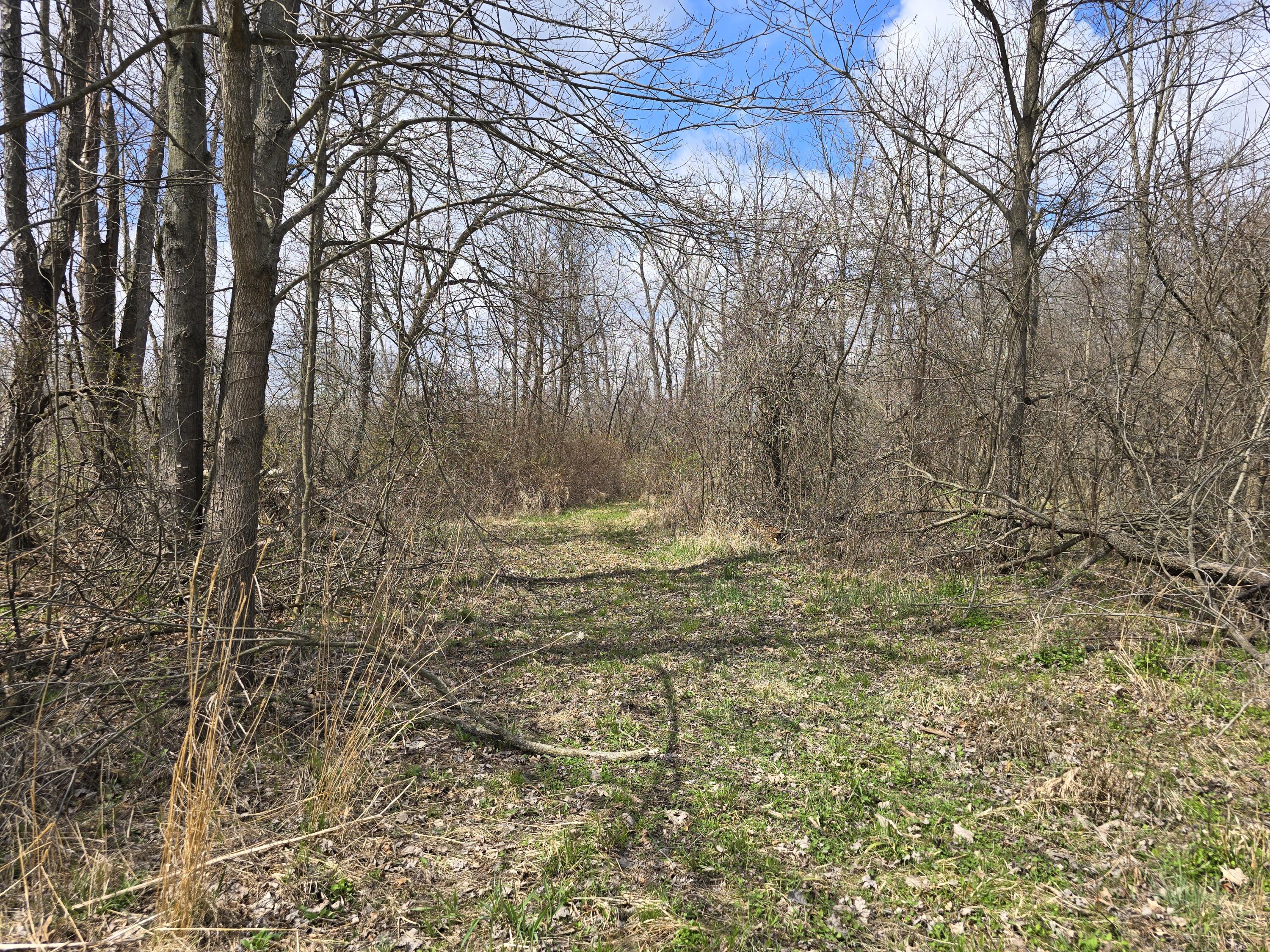 1284 Maplegrove Road Jackson, MI 49201 - Photo 17 of 45 20260413_131612