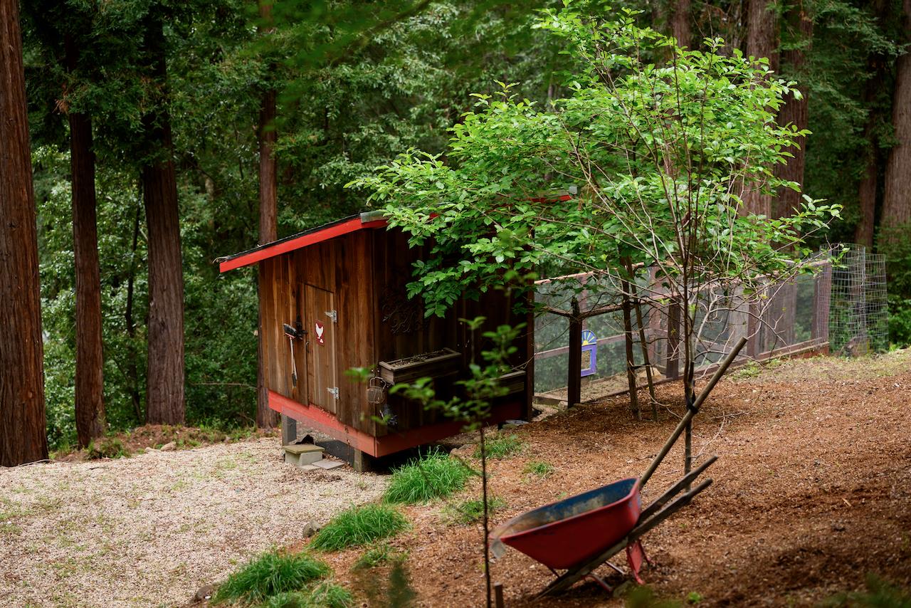 295 Jim's Road Ben Lomond, CA 95005 - Photo 112 of 139