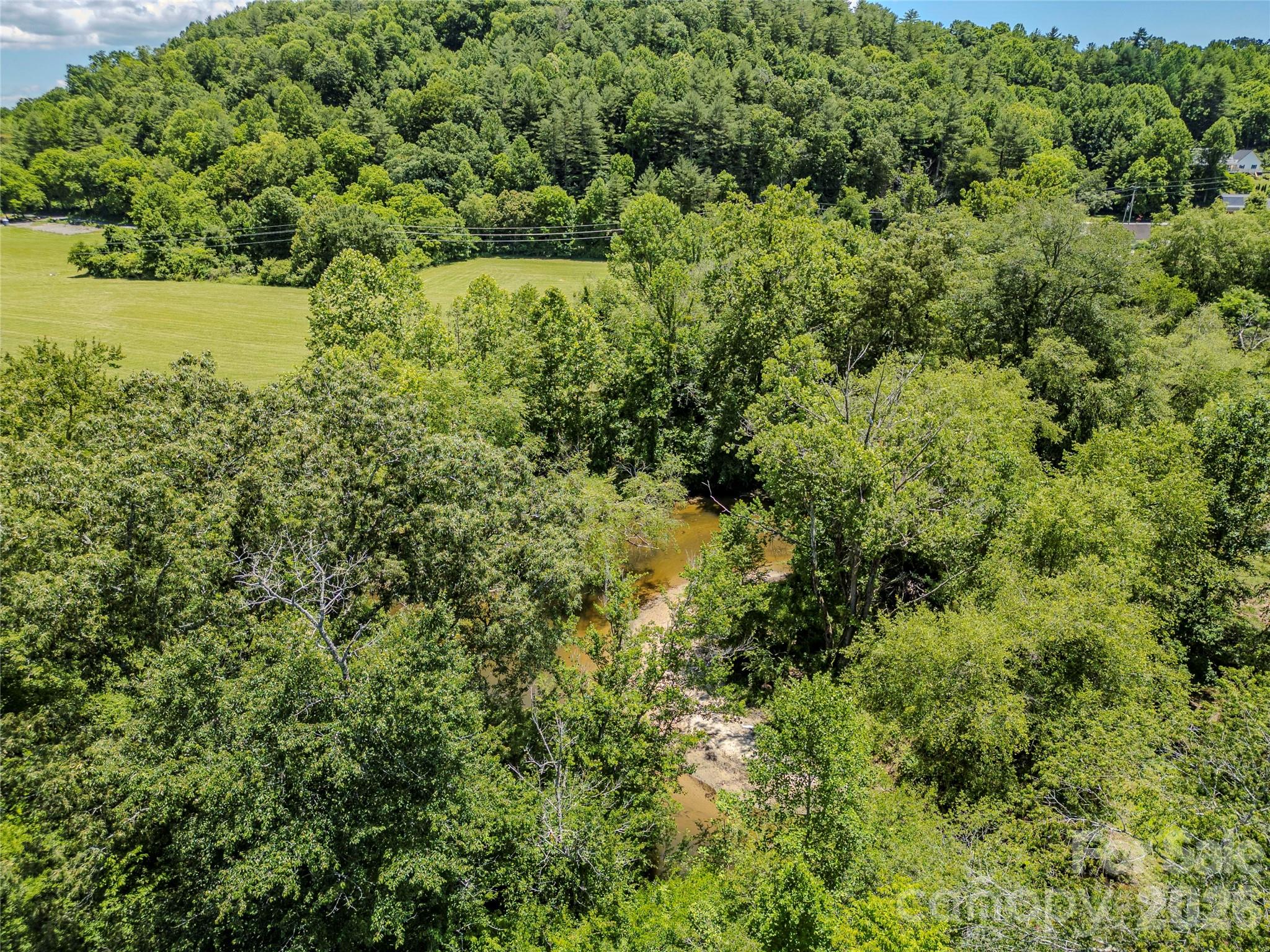 Tbd Canebrake Road Pisgah Forest, NC 28768 - Photo 17 of 43