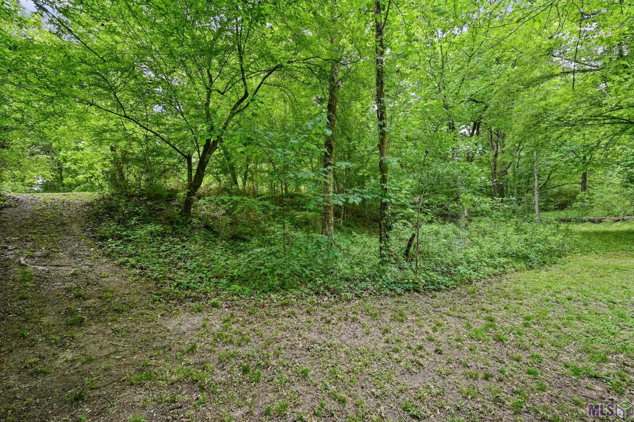9836 Sligo Road St. Francisville, LA 70775 - Photo 45 of 55