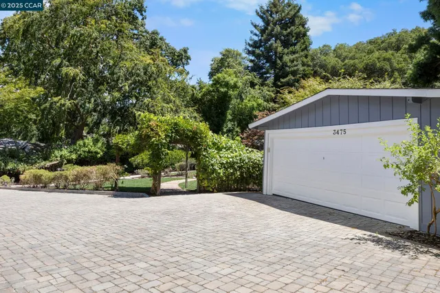 a view of a house with a small yard and a large tree