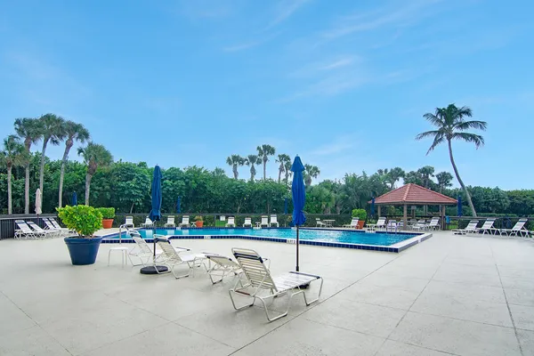 a view of a swimming pool with a patio and a garden