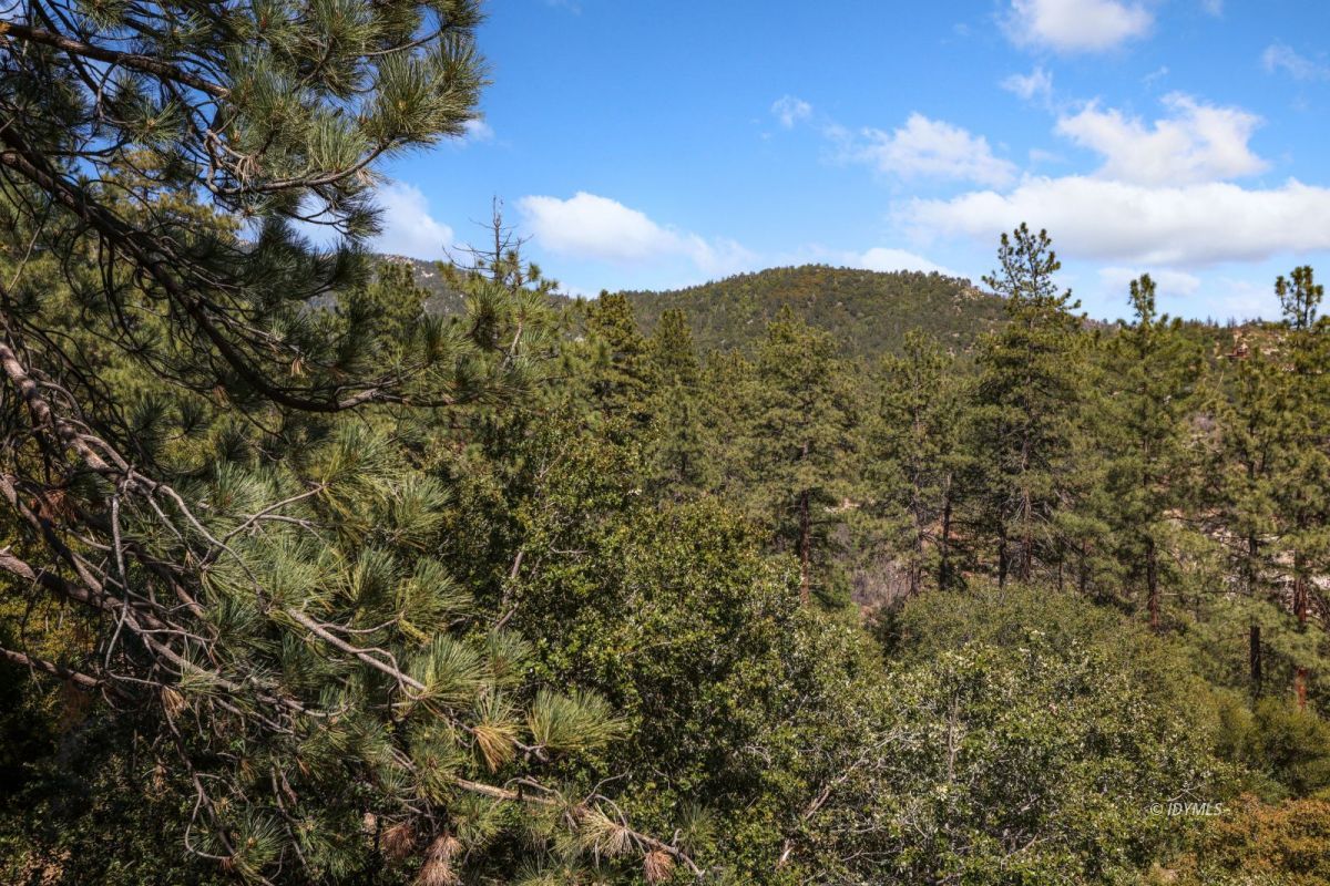 53460 West Ridge Road Idyllwild, CA 92549 - Photo 50 of 65 a view of a city with a mountain