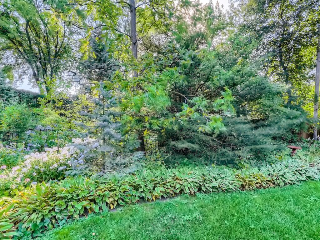 101 Wayside Road East Hopkins, MN 55343 - Photo 24 of 28 Gallery Image 24