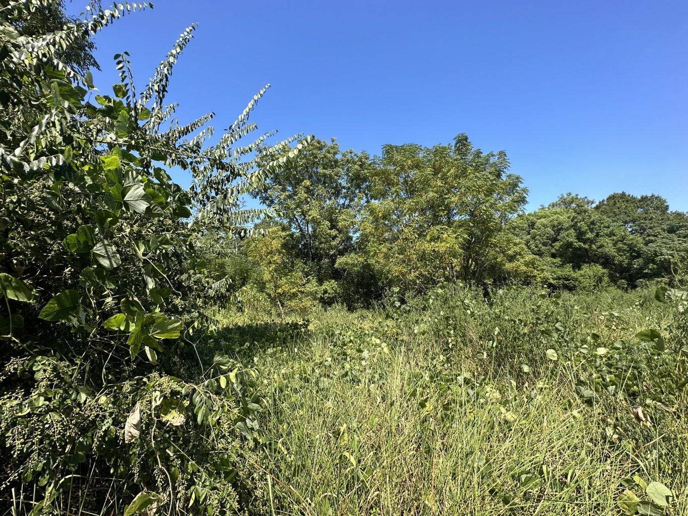 Parcel C Ridge Drive Crestview, FL 32536 - Photo 3 of 4 a view of a field