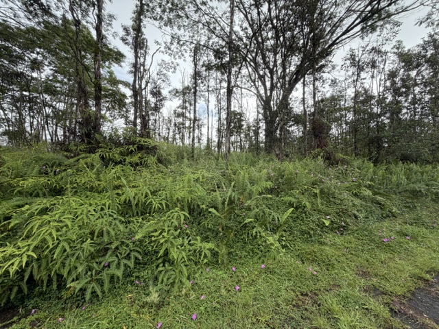357 Puna Road Pahoa, HI 96778 - Photo 8 of 10