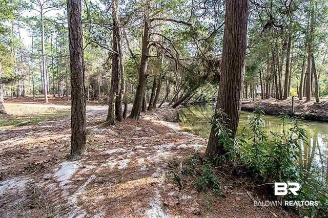 10955 Patterson Lane Elberta, AL 36530 - Photo 20 of 21