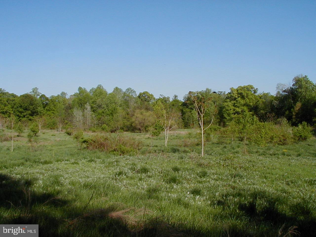 11314 Cross Rd Trail Brandywine, MD 20613 - Photo 1 of 10 Beautiful Partly Open and Mostly wooded 7.99 acre