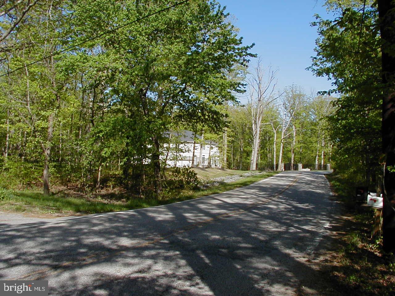 11314 Cross Rd Trail Brandywine, MD 20613 - Photo 7 of 10 Gallery Image 7