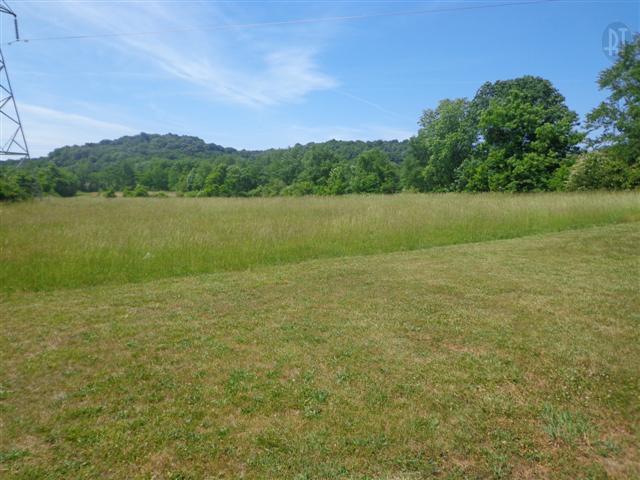 8213 Joy Road Mount Pleasant, TN 38474 - Photo 5 of 7 Gallery Image 5