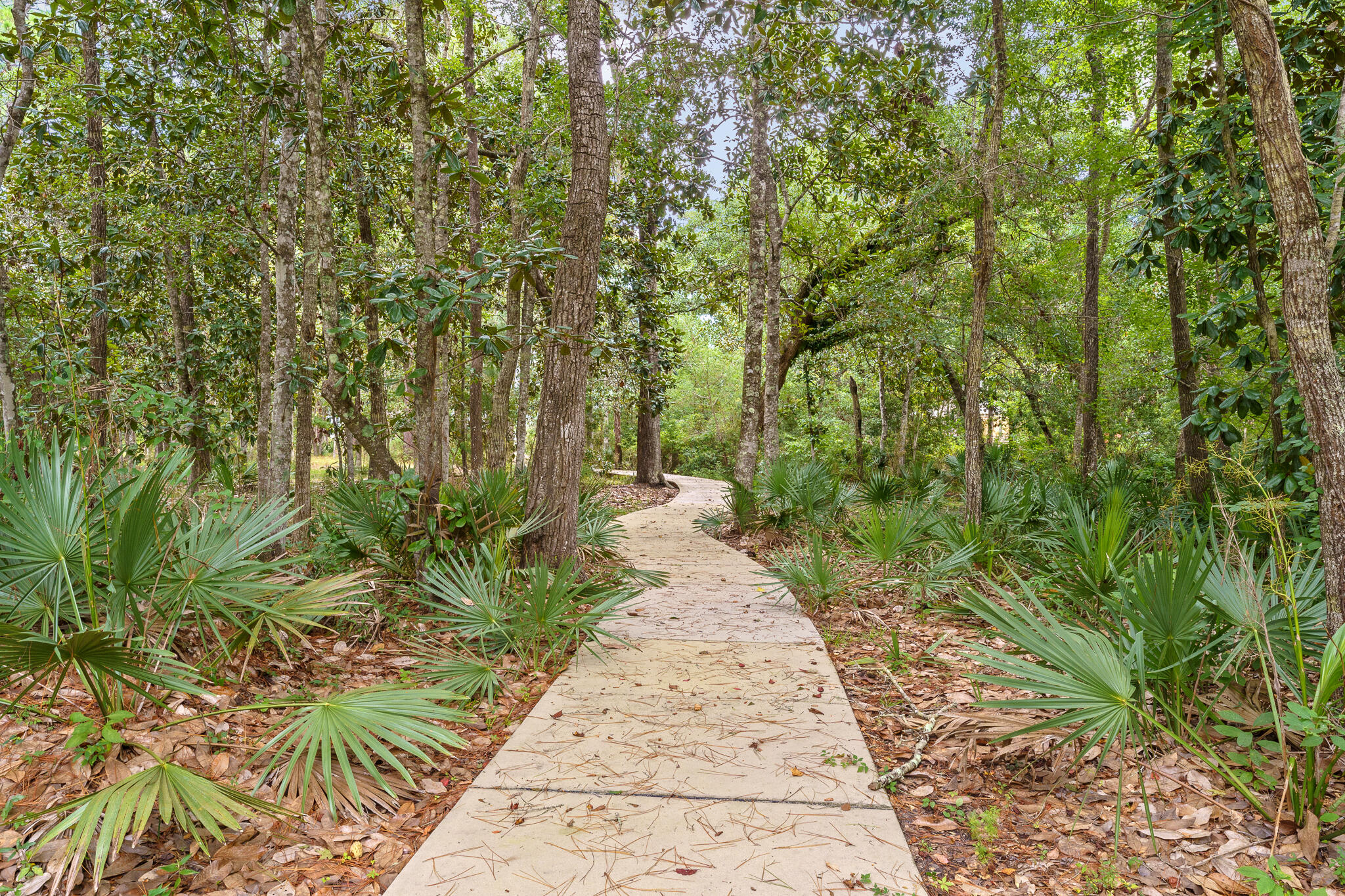 Lot 27 Tyler Santa Rosa Beach Santa Rosa Beach, FL 32459 - Photo 4 of 60 Churchill Oaks Meandering Walkways