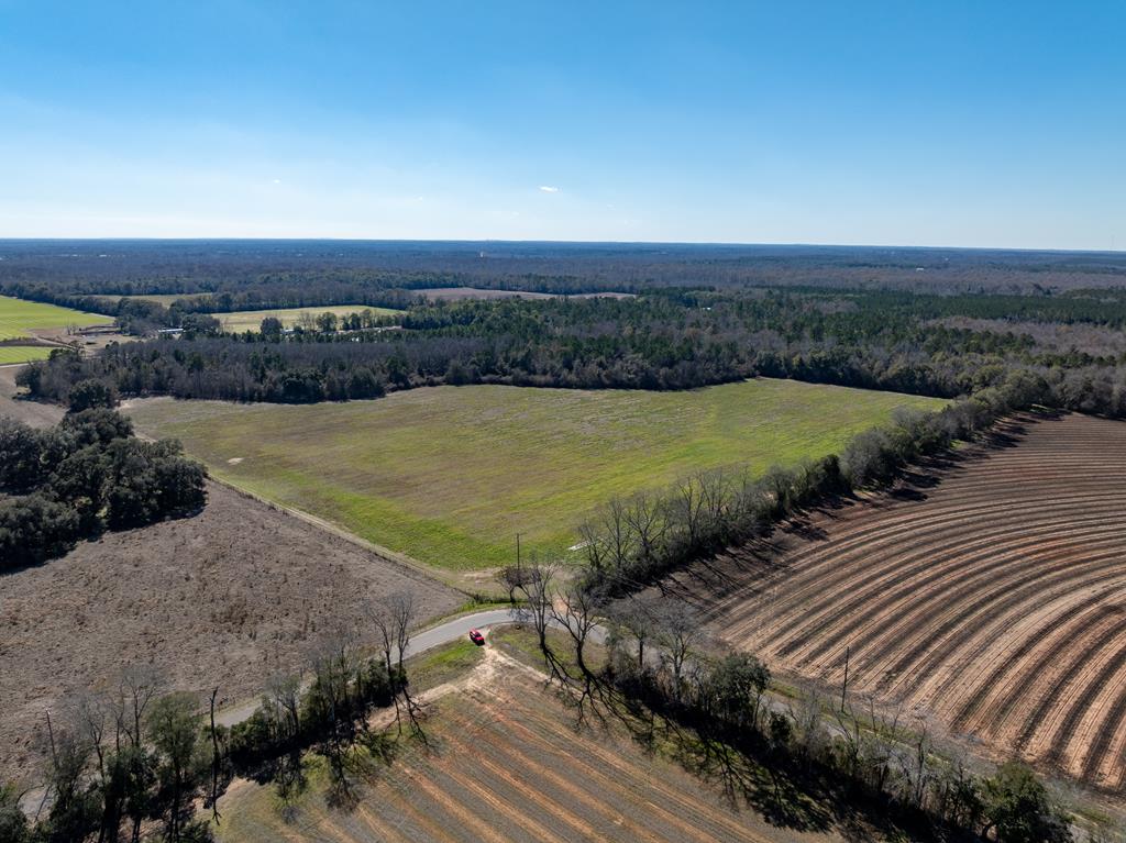 31.5-ac 31.5-ac Rammer Loop Road Dothan, AL 36301 - Photo 11 of 49