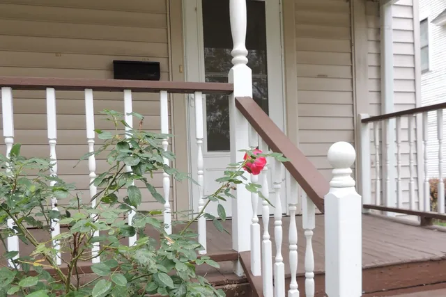 a front view of a house with plants