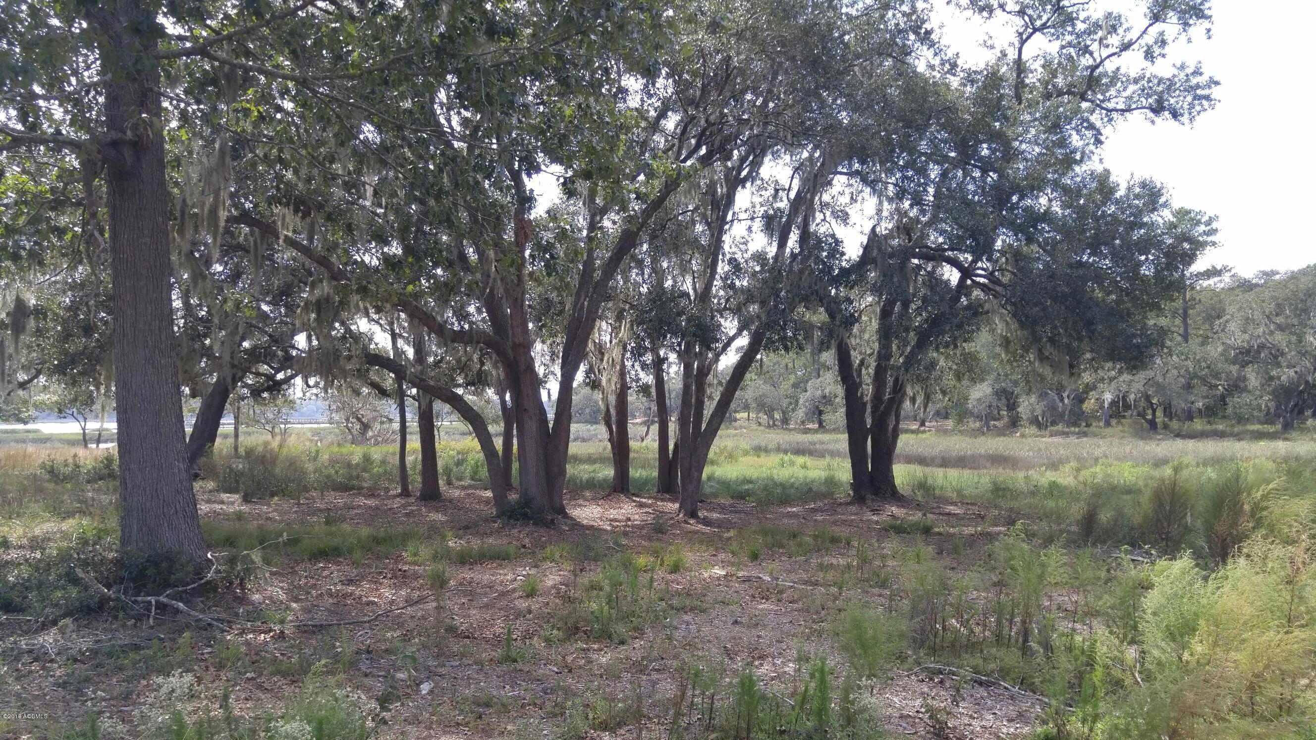 48 Rail Bed Road Seabrook, SC 29940 - Photo 8 of 9 20171016_132057_resized