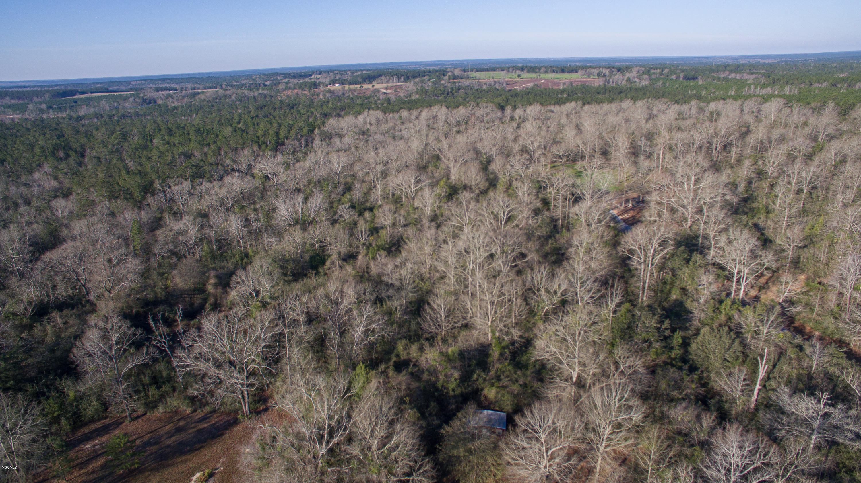 263 Ridge Road Perkinston, MS 39573 - Photo 20 of 22 263 N Ridge Road-111 (2)