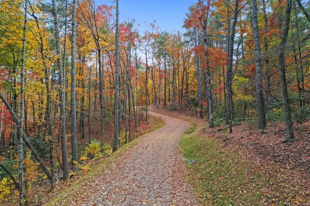 $295,000 | Lot 4 Wilderness Way, Blue Ridge, GA 30513