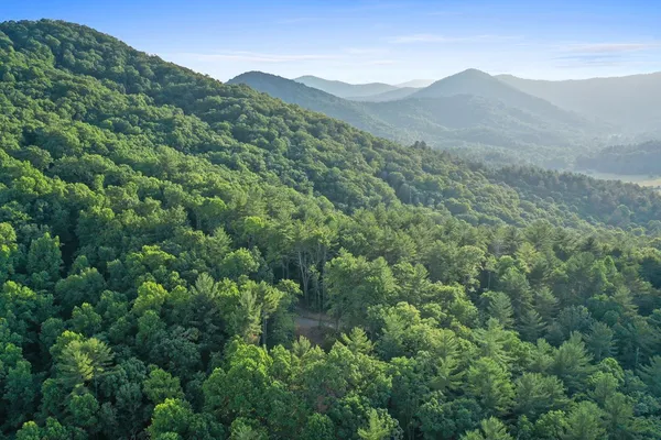 a view of a lush green hillside and houses