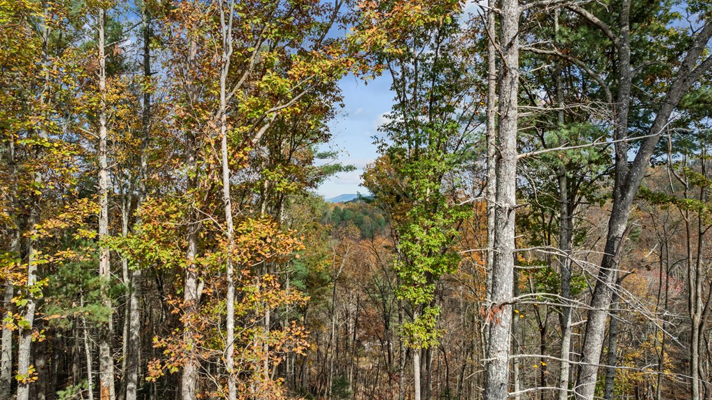 Lot 4 Wilderness Way Blue Ridge, GA 30513 - Photo 7 of 11