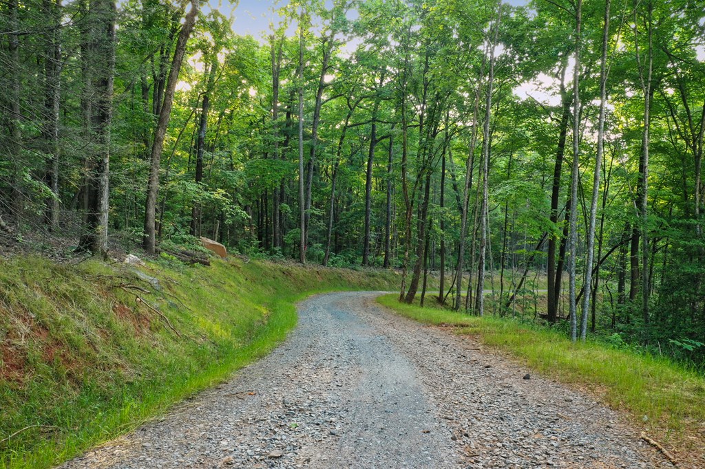 Lot 4 Wilderness Way Blue Ridge, GA 30513 - Photo 9 of 11 a view of a park