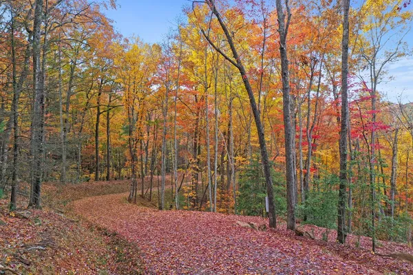 $295,000 | Lot 4 Wilderness Way, Blue Ridge, GA 30513