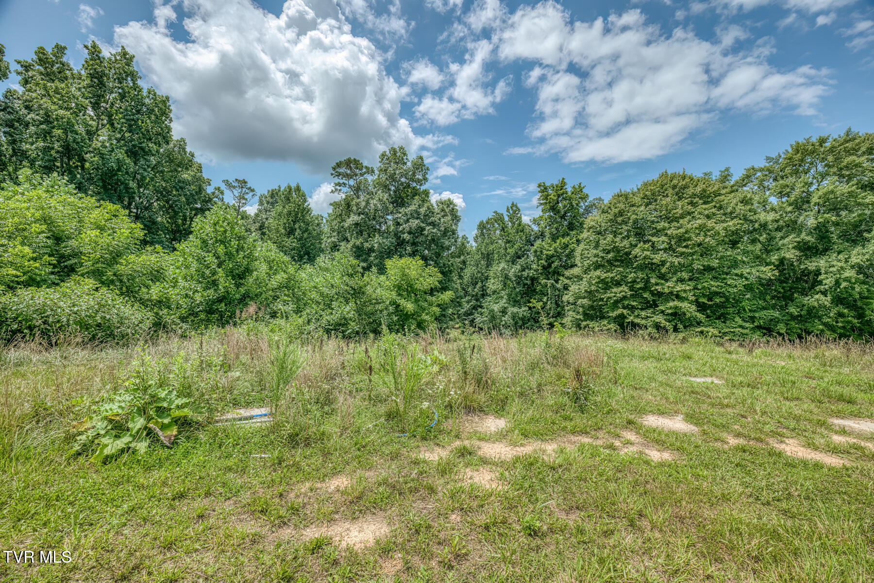 2083 Bundren Mountain Road Tazewell, TN 37879 - Photo 4 of 42 2083 Bundren Mountain Rd-16